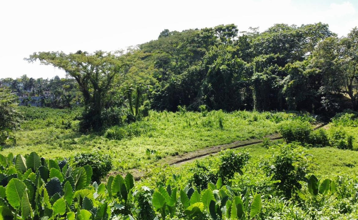 Ninth image of 105- Winchester Estates in Green Island, Hanover, Jamaica - property is For Sale
