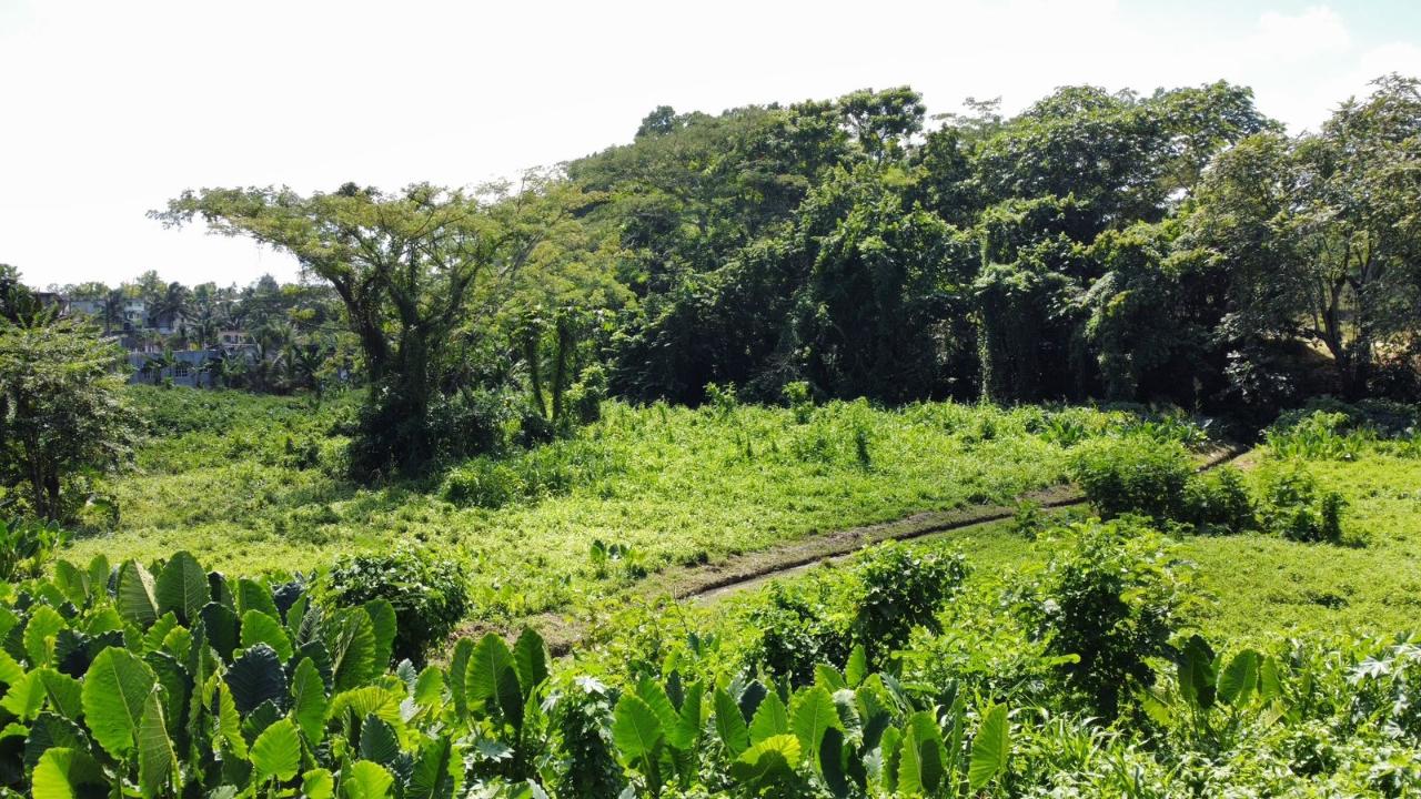 Ninth image of 105- Winchester Estates in Green Island, Hanover, Jamaica - property is For Sale