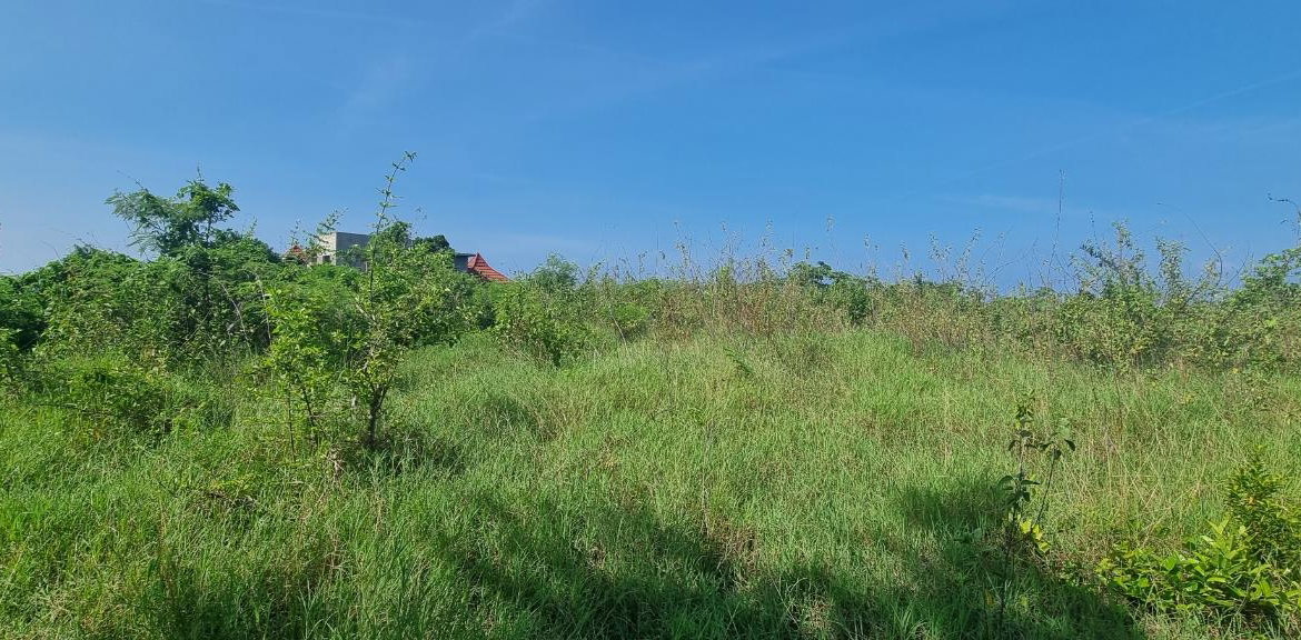 Third image of Haughton Court in Lucea, Hanover, Jamaica - property is For Sale