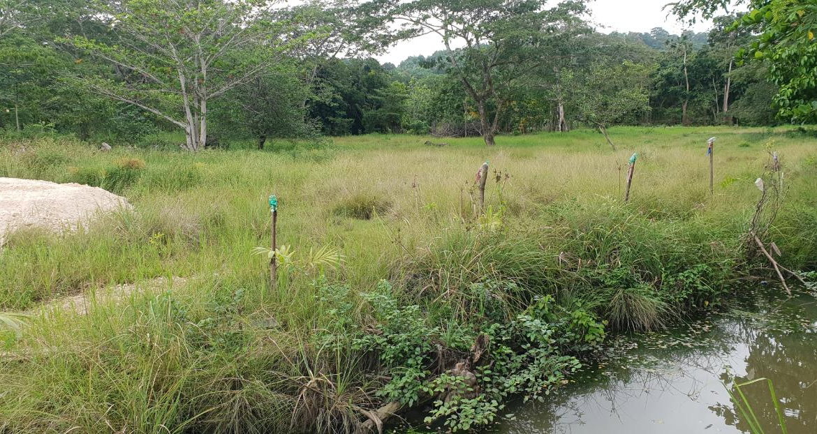 Eleventh image of Lot 8 Haughton Court, Hanover in Lucea, Hanover, Jamaica - property is For Sale