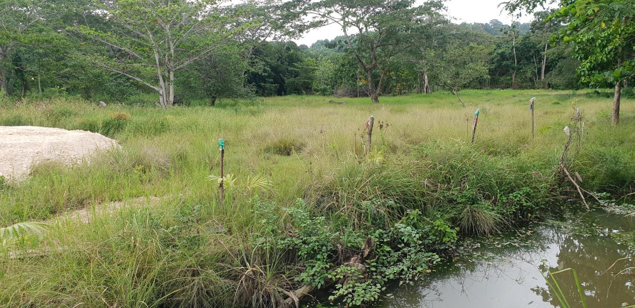 Eleventh image of Lot 8 Haughton Court, Hanover in Lucea, Hanover, Jamaica - property is For Sale