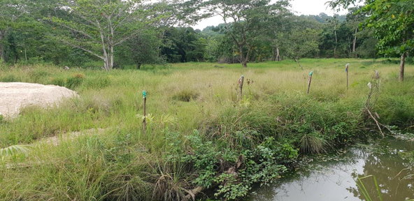 Eleventh image of Lot 8 Haughton Court, Hanover in Lucea, Hanover, Jamaica - property is For Sale
