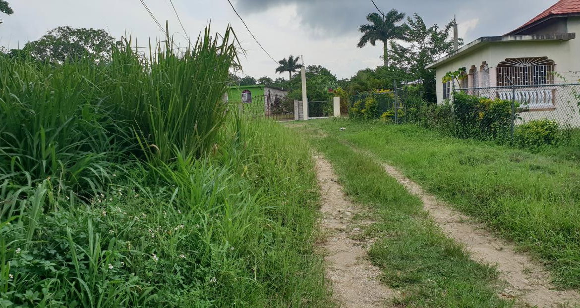 Thirteenth image of Lot 8 Haughton Court, Hanover in Lucea, Hanover, Jamaica - property is For Sale