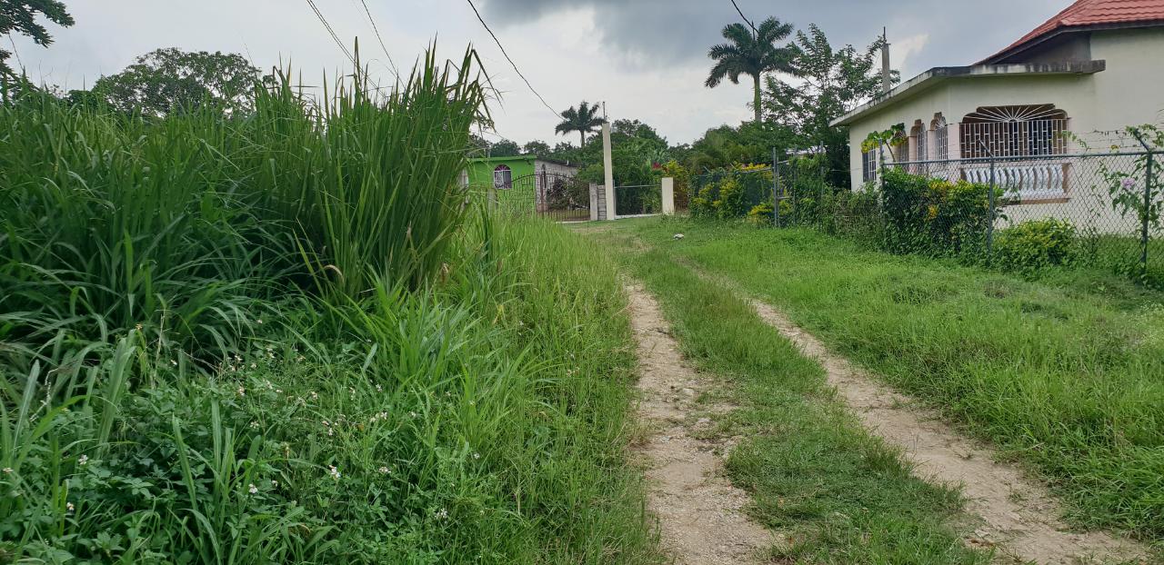 Thirteenth image of Lot 8 Haughton Court, Hanover in Lucea, Hanover, Jamaica - property is For Sale