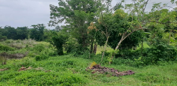 Fourteenth image of Lot 8 Haughton Court, Hanover in Lucea, Hanover, Jamaica - property is For Sale