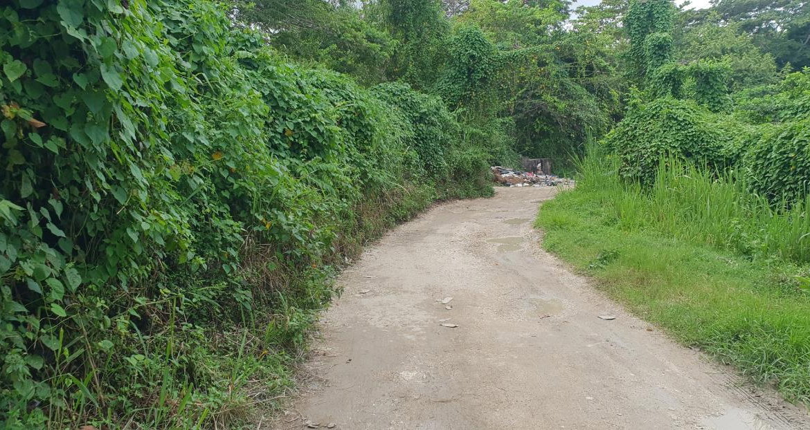 Fifth image of Lot 8 Haughton Court, Hanover in Lucea, Hanover, Jamaica - property is For Sale