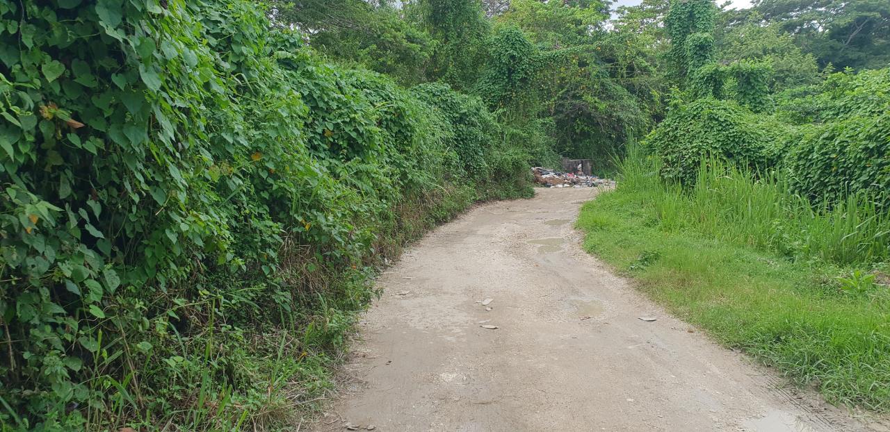 Fifth image of Lot 8 Haughton Court, Hanover in Lucea, Hanover, Jamaica - property is For Sale