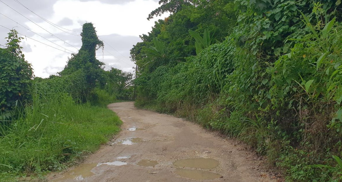 Sixth image of Lot 8 Haughton Court, Hanover in Lucea, Hanover, Jamaica - property is For Sale