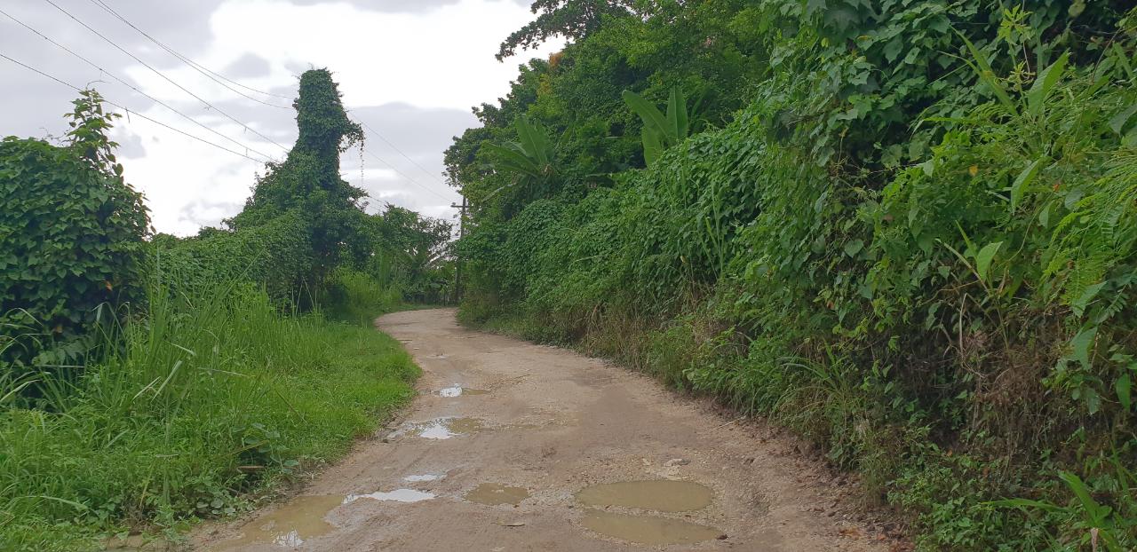 Sixth image of Lot 8 Haughton Court, Hanover in Lucea, Hanover, Jamaica - property is For Sale