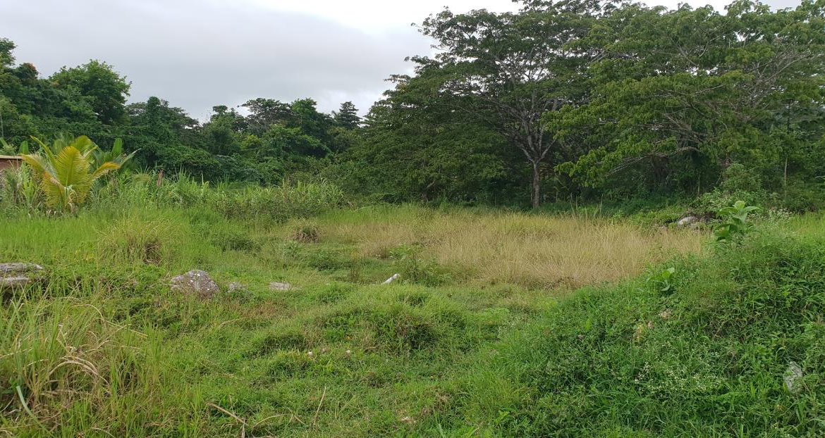 Seventh image of Lot 8 Haughton Court, Hanover in Lucea, Hanover, Jamaica - property is For Sale