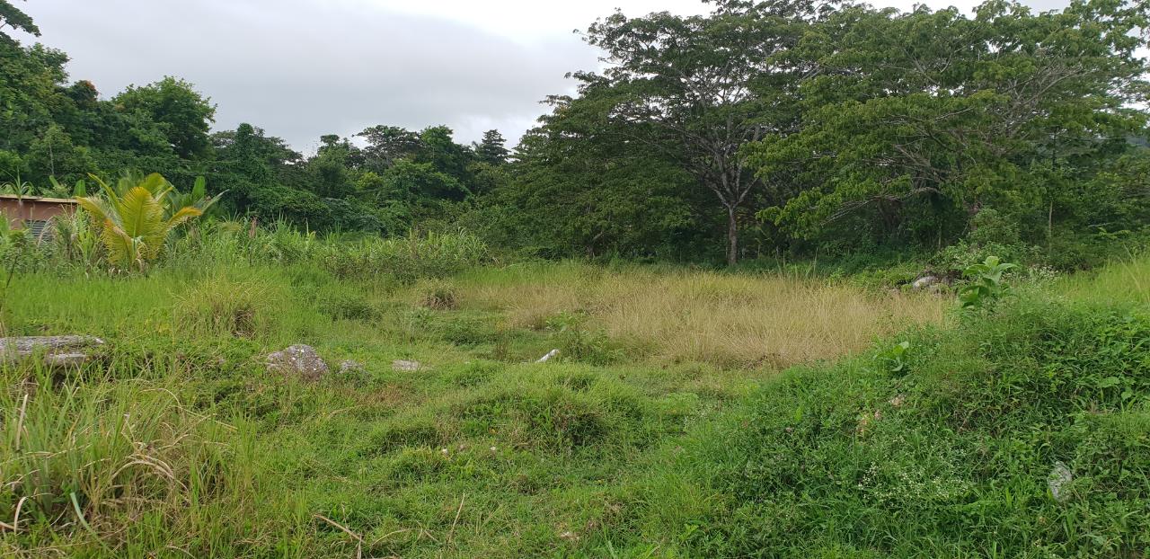 Seventh image of Lot 8 Haughton Court, Hanover in Lucea, Hanover, Jamaica - property is For Sale