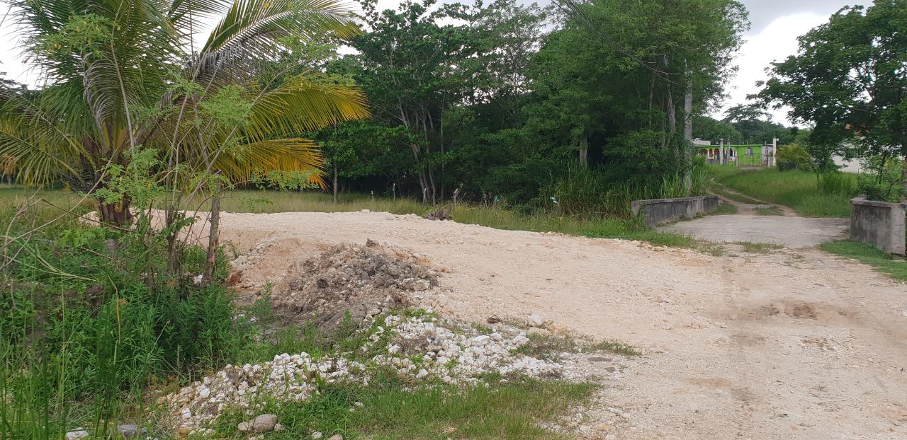 Eighth image of Lot 8 Haughton Court, Hanover in Lucea, Hanover, Jamaica - property is For Sale