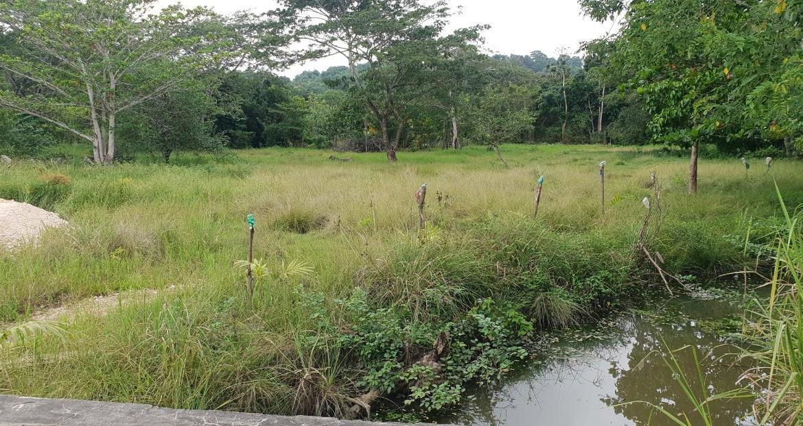 Tenth image of Lot 8 Haughton Court, Hanover in Lucea, Hanover, Jamaica - property is For Sale