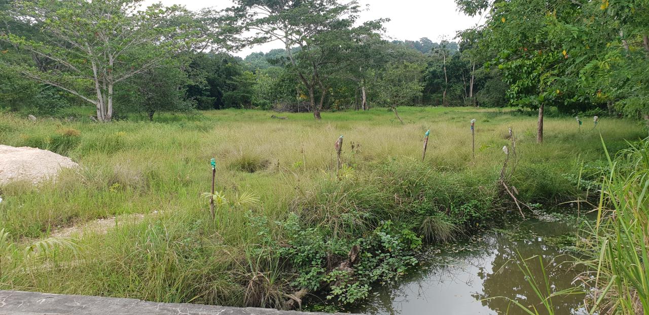 Tenth image of Lot 8 Haughton Court, Hanover in Lucea, Hanover, Jamaica - property is For Sale
