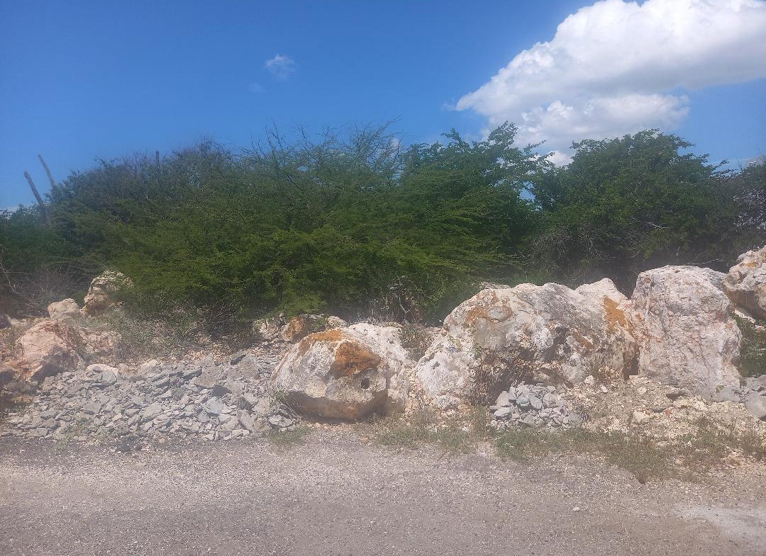 Seventh image of 160 Pine Ave. Hellshire in Portmore Mall, St. Catherine, Jamaica - property is For Sale