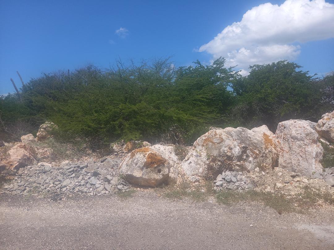 Seventh image of 160 Pine Ave. Hellshire in Portmore Mall, St. Catherine, Jamaica - property is For Sale