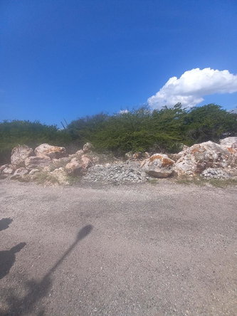 Ninth image of 160 Pine Ave. Hellshire in Portmore Mall, St. Catherine, Jamaica - property is For Sale