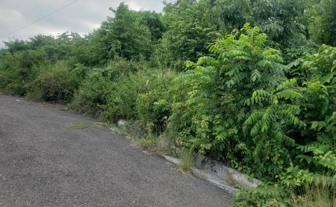Fourth image of 26 Huddersfield in Tower Isle, St. Mary, Jamaica - property is For Sale