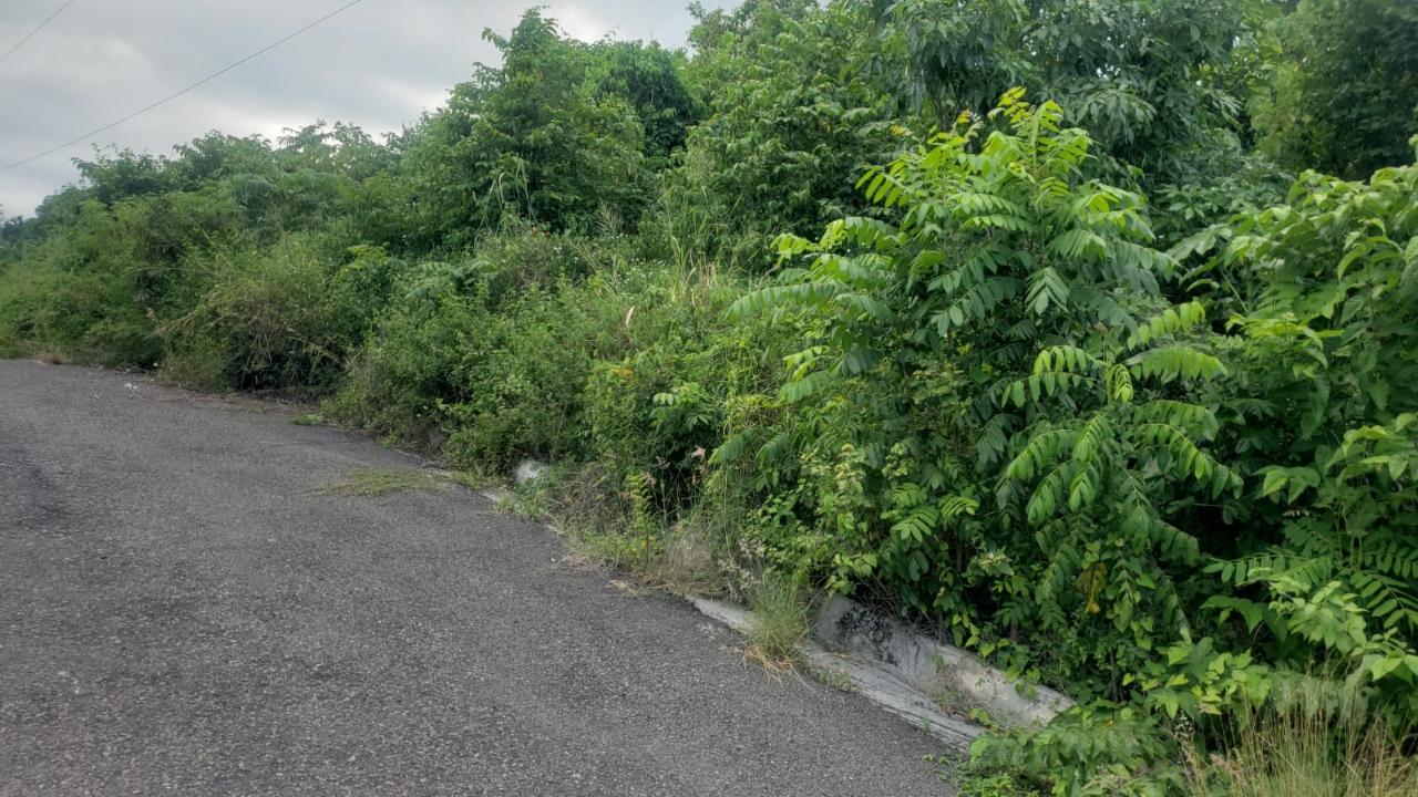 Fourth image of 26 Huddersfield in Tower Isle, St. Mary, Jamaica - property is For Sale