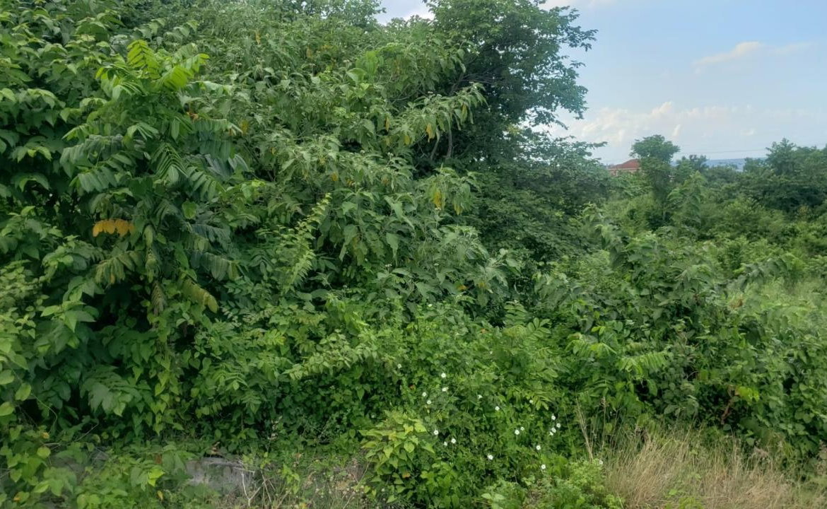 Fifth image of 26 Huddersfield in Tower Isle, St. Mary, Jamaica - property is For Sale