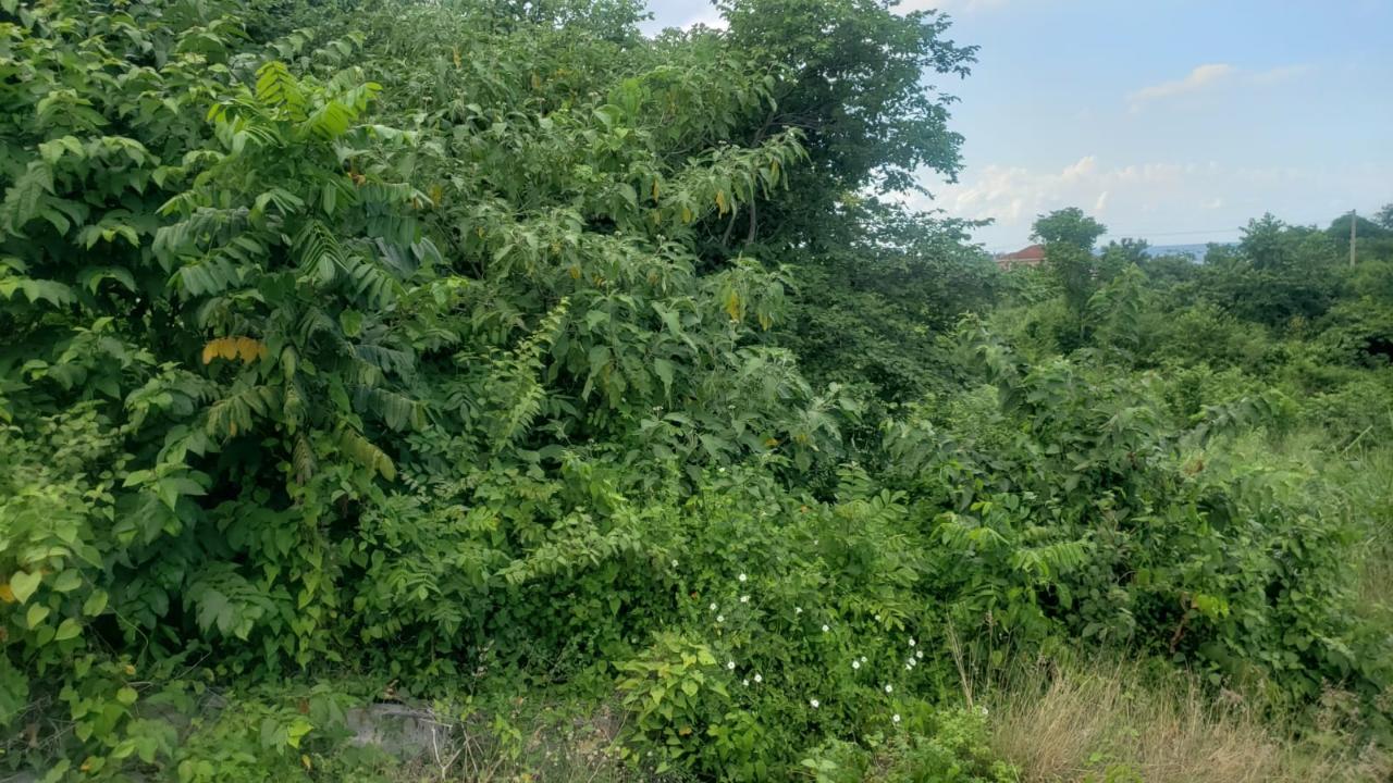 Fifth image of 26 Huddersfield in Tower Isle, St. Mary, Jamaica - property is For Sale