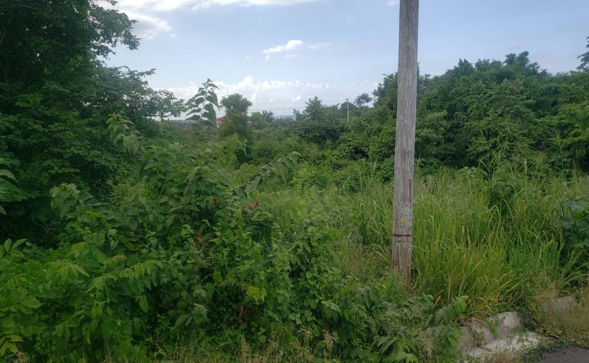 Sixth image of 26 Huddersfield in Tower Isle, St. Mary, Jamaica - property is For Sale