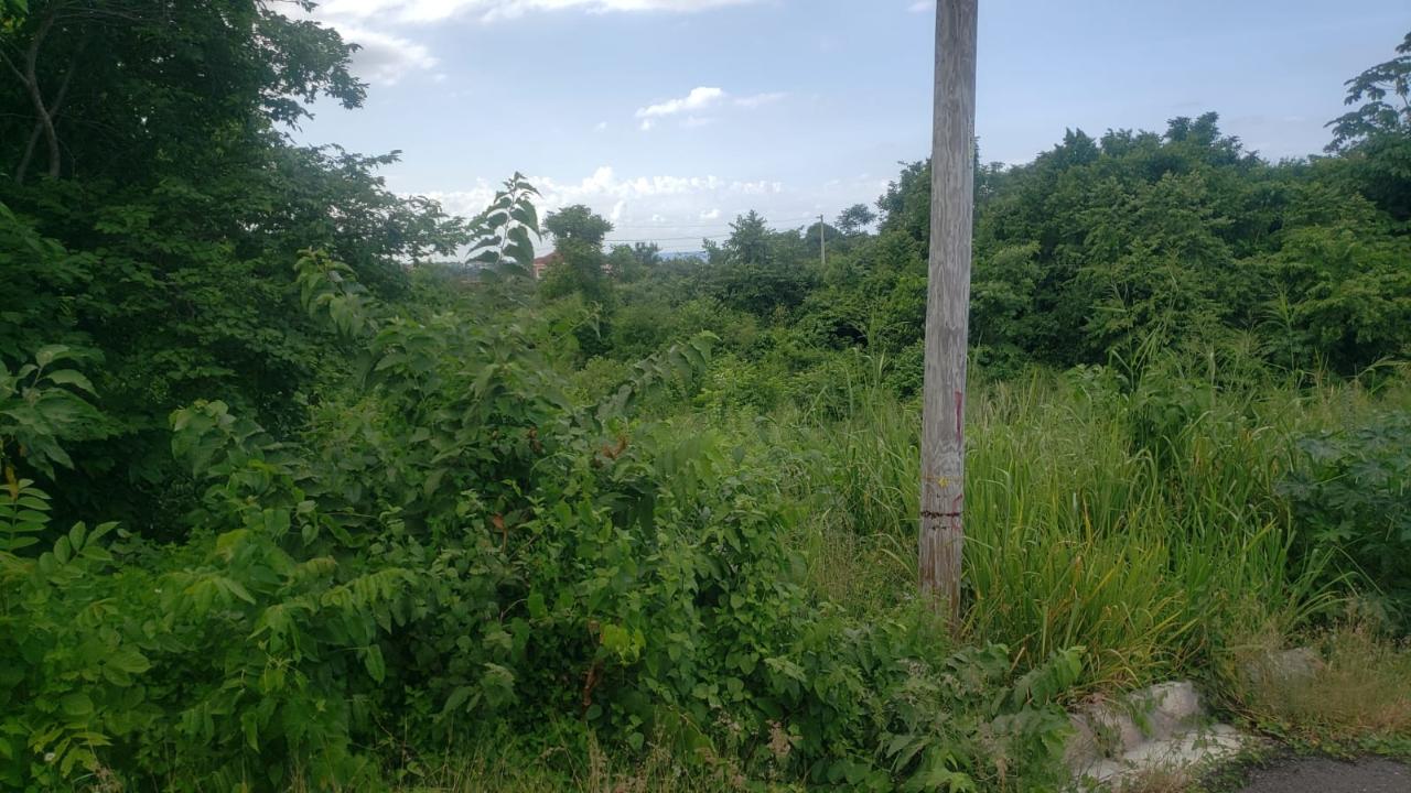 Sixth image of 26 Huddersfield in Tower Isle, St. Mary, Jamaica - property is For Sale