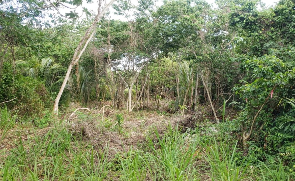 Eighth image of 26 Huddersfield in Tower Isle, St. Mary, Jamaica - property is For Sale