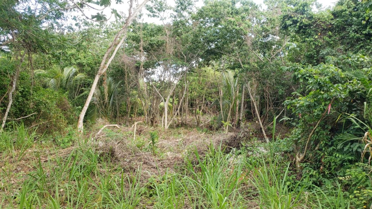 Eighth image of 26 Huddersfield in Tower Isle, St. Mary, Jamaica - property is For Sale