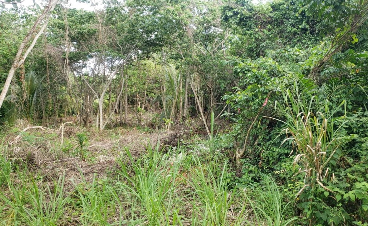 Ninth image of 26 Huddersfield in Tower Isle, St. Mary, Jamaica - property is For Sale