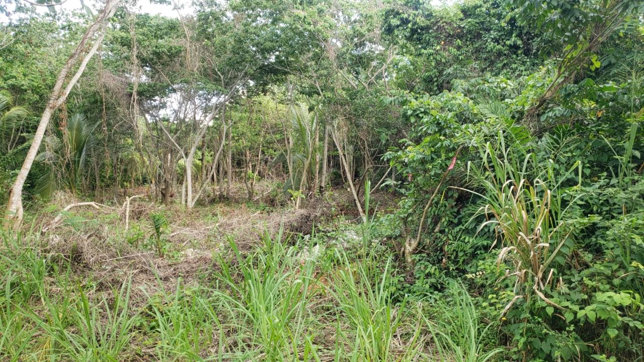Ninth image of 26 Huddersfield in Tower Isle, St. Mary, Jamaica - property is For Sale