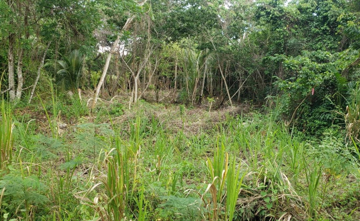 Tenth image of 26 Huddersfield in Tower Isle, St. Mary, Jamaica - property is For Sale