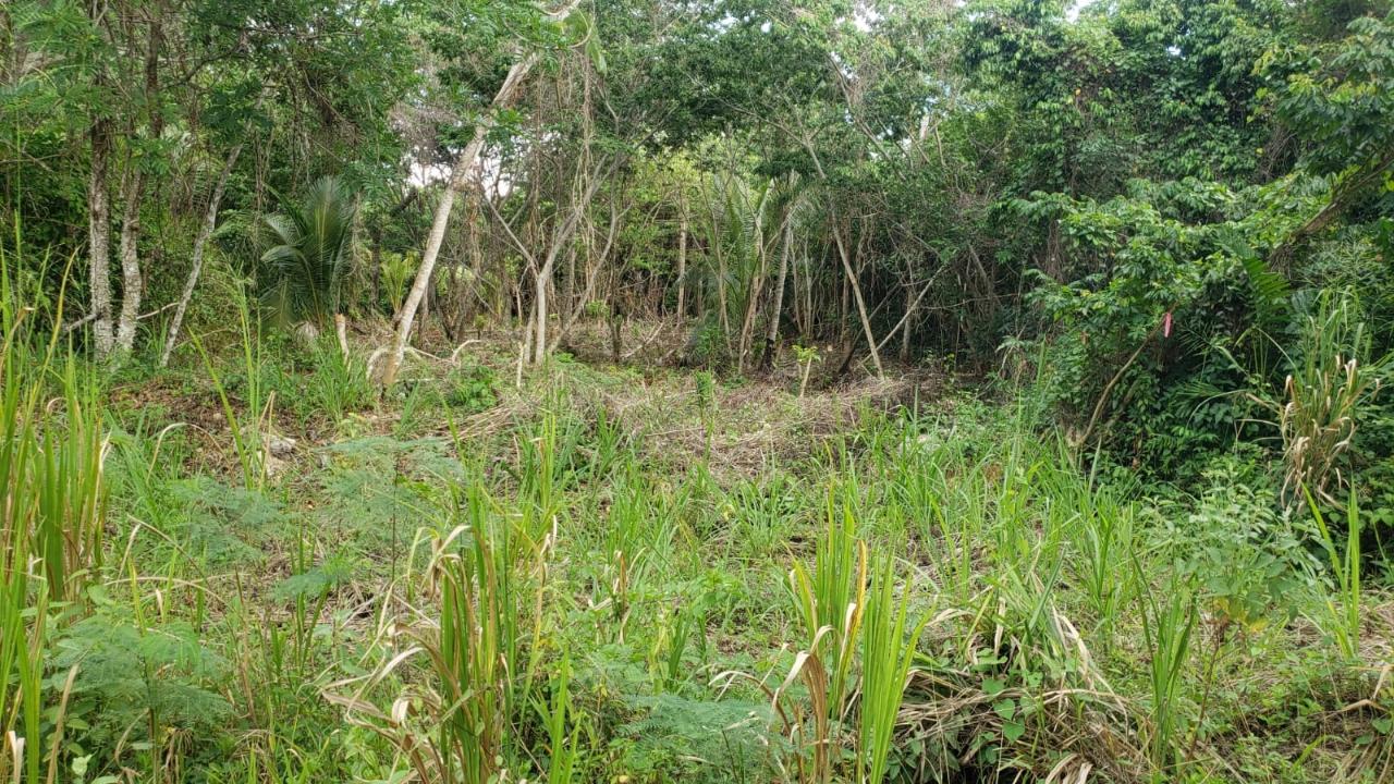 Tenth image of 26 Huddersfield in Tower Isle, St. Mary, Jamaica - property is For Sale
