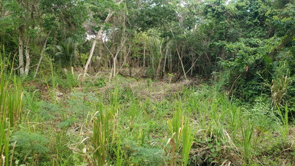 Tenth image of 26 Huddersfield in Tower Isle, St. Mary, Jamaica - property is For Sale