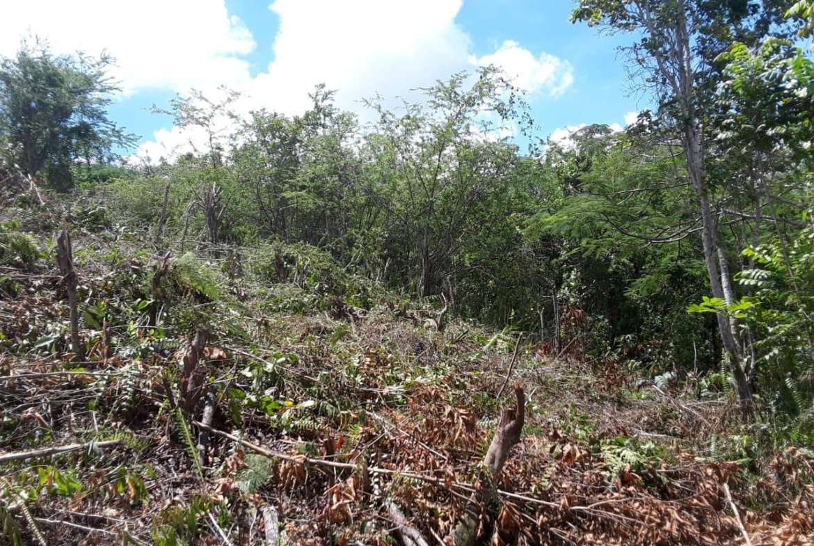 Fourth image of Lot-412 Bahamia Close in Mandeville, Manchester, Jamaica - property is For Sale