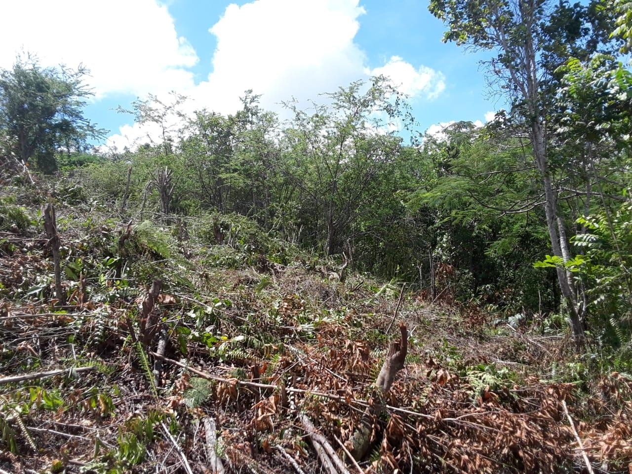 Fourth image of Lot-412 Bahamia Close in Mandeville, Manchester, Jamaica - property is For Sale