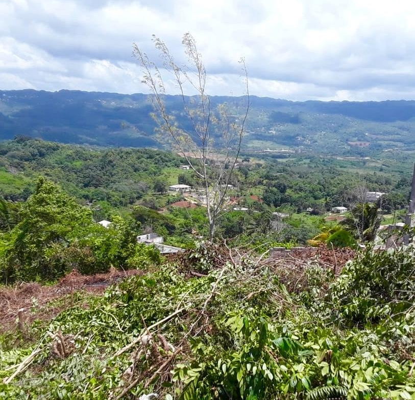 Fifth image of Lot-412 Bahamia Close in Mandeville, Manchester, Jamaica - property is For Sale