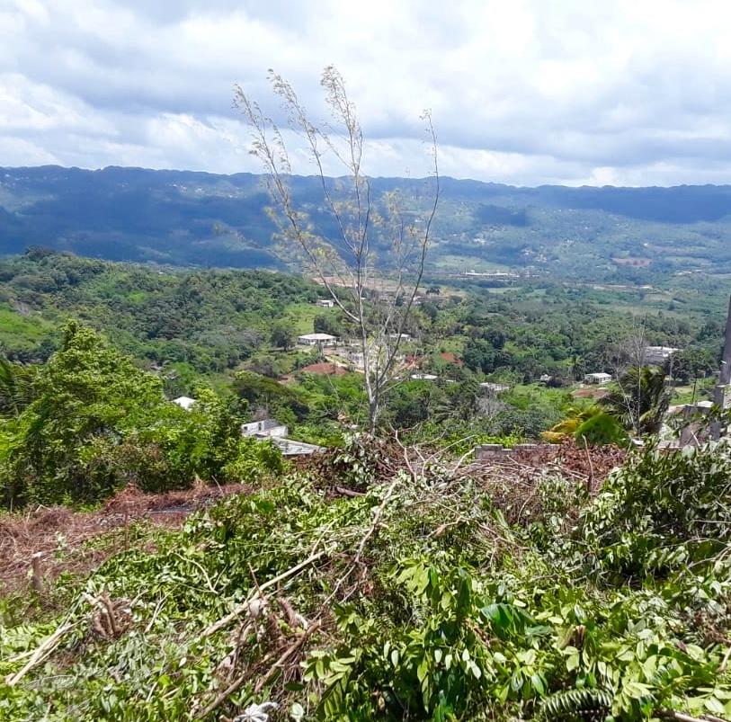Fifth image of Lot-412 Bahamia Close in Mandeville, Manchester, Jamaica - property is For Sale