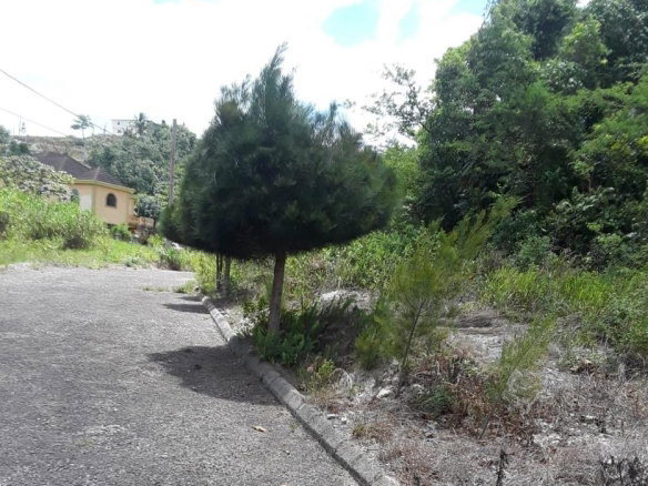 First image of Lot-412 Bahamia Close in Mandeville, Manchester, Jamaica - property is For Sale