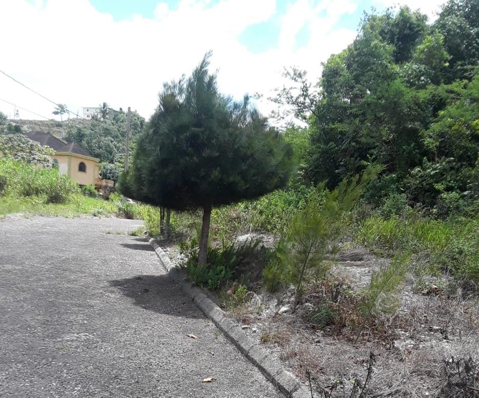 First image of Lot-412 Bahamia Close in Mandeville, Manchester, Jamaica - property is For Sale