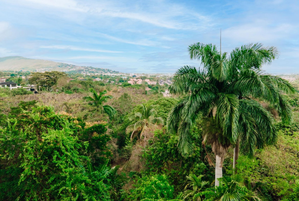 Second image of Jacks Hill, Kingston 6 in Kingston 6, St. Andrew, Jamaica - property is For Sale