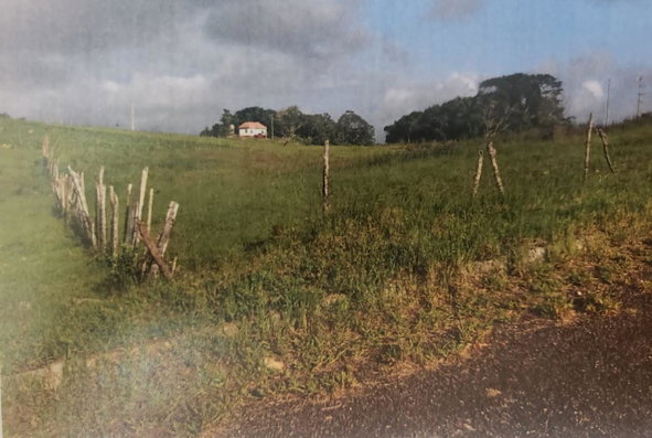 Second image of 313 Newark & Hope in Spur Tree, Manchester, Jamaica - property is For Sale