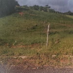 First image of 313 Newark & Hope in Spur Tree, Manchester, Jamaica - property is For Sale