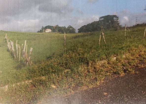 Third image of 313 Newark & Hope in Spur Tree, Manchester, Jamaica - property is For Sale