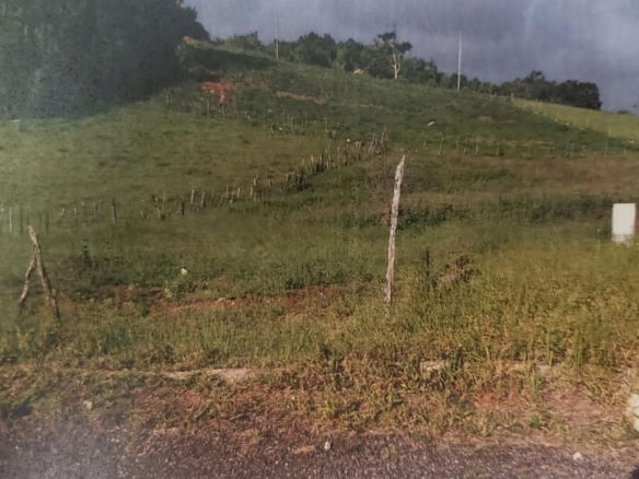 First image of 313 Newark & Hope in Spur Tree, Manchester, Jamaica - property is For Sale