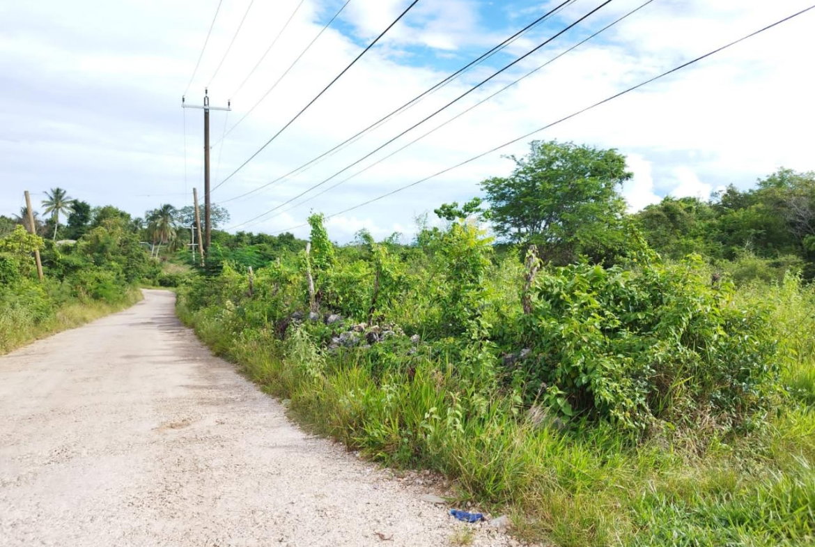 First image of 1b- Hermitage, Lancaster in Hermitage, Manchester, Jamaica - property is For Sale