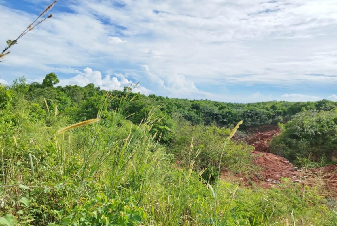 Fourth image of 1b- Hermitage, Lancaster in Hermitage, Manchester, Jamaica - property is For Sale