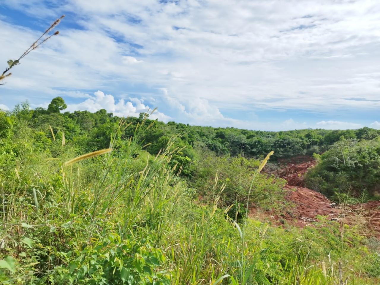 Fourth image of 1b- Hermitage, Lancaster in Hermitage, Manchester, Jamaica - property is For Sale