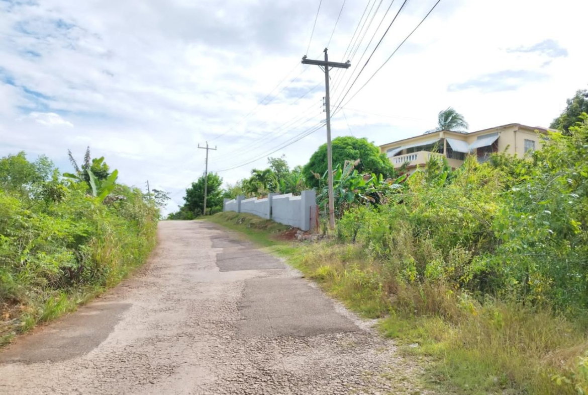Sixth image of 1b- Hermitage, Lancaster in Hermitage, Manchester, Jamaica - property is For Sale