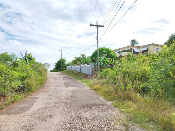 Sixth image of 1b- Hermitage, Lancaster in Hermitage, Manchester, Jamaica - property is For Sale